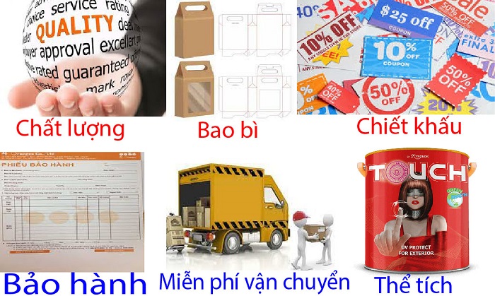 Chính sách của sơn mykolor